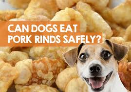 Check spelling or type a new query. Can Dogs Eat Pork Rinds Pork Skins Crackling Scratchings Safe