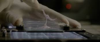 Exploring the unknown worlds, motives, and visits of extraterrestrial life and ufos. Life 4k Ultra Hd Blu Ray Review