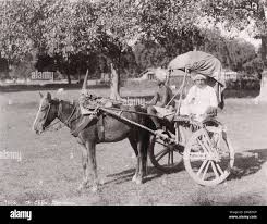 Horse carriage india hi-res stock ...