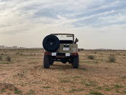 Image result for Desert Tan 1977 Hussmann