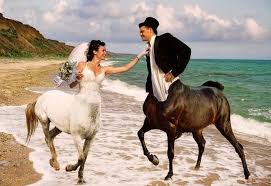 Dont Miss This The Worst Wedding Photographs Of All Time Part 1 Wedding Photo Fails Funny Wedding Photos Wedding Humor