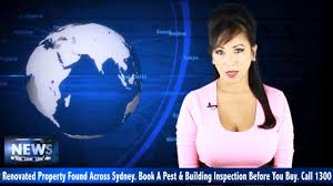 We can schedule an inspection to devise. 469 Combined Building Pest Inspection Pest And Building Inspections Blue Mountains
