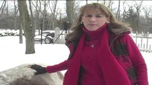Maybe you would like to learn more about one of these? Save A Pet Animal Rescue And Adoption Center In Port Jefferson Station Ny Youtube
