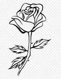 To draw a bouquet of roses step by step, follow along with the video tutorial below and pause the video after each step to go at your own pace. Sunflower Clipart Black And White Rose Line Drawing Flower Png Download 2551257 Pikpng