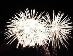 Palmera O Fuegos Artificiales Photography Photo Plants