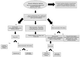 Flowchart For The Selection Of Different Treatment Options