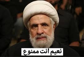 Shady fayad ممنوع تضل بلبنان، فل على اسرائيل