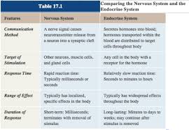 Chapter 17 The Endocrine System Flashcards Quizlet