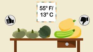May 07, 2018 · general recommendation is 1 plant per person for summer squash. 3 Ways To Grow Squash Wikihow