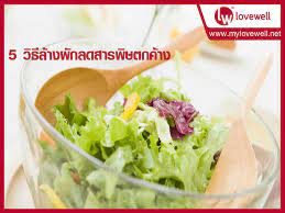 ใคร ๆ ก ร ว า ผ ก เป นอาหารท ด ต อส ขภาพ เต มเป ยมไปด วยแร ธาต ว ตาม นต าง ๆ ท ช วยบำร งร างกาย แต การจะทานผ กก ไม ใช ว าจะเล อกส มส ส มห า ผ ก ส ขภาพ