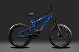 Delivered by dedicated in house drivers. Steinerdesign Ultra Emtb Plus 1600 Watt Speed Race Pedelec Mc Air Gabel Gates Carbon Drive Riemen Rohloff