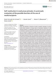 Image result for Vernonia kirungae