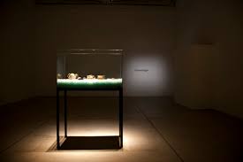 Bildergebnis für Sonia Andrade