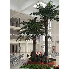 Chinese fan palm, also known as fountain palm, are types of indoor palm trees that are subtropical. China 5meter Very Popular Indoor Large Decorative Plastic Artificial Coconut Palm Tree On Global Sources Artificial Date Palm Tree Artificial Tree Handmade Palm Tree