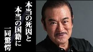 最終更新日：2019/12/17 芸能情報 千葉真一, 真剣佑 千葉真一 （77）の息子で俳優の Cv1hnut8oh4ugm