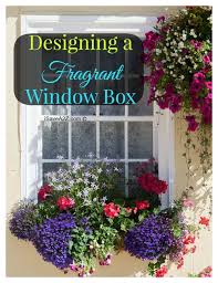 Design wise, flower boxes are versatile and its. Designing A Fragrant Window Box Isavea2z Com