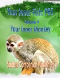 Your Inner Fish Ep 3 Your Inner Monkey Student Companion Worksheet Student Inner Fish