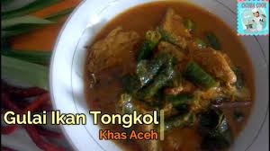 Di daerah lain hidangan ikan patin biasanya akrab dengan dimasak pindang, masak kuning, bakar bambu, dan. Gulai Ikan Tongkol Khas Aceh Masakan Sehari Hari Cicuba Cook Youtube