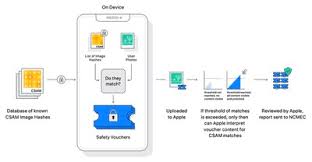 Fortunately, apple has published a list of iphones, ipads, macs, and apple watch models that are compatible with ios 15, ipados 15, macos monterey, and watchos 8. Ipados 15 Everything We Know Macrumors
