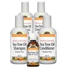 Apply evenly on damp hair and style as desired. Holista Tea Tree Oil Hair Care Pack Costco
