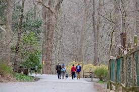 Maybe you would like to learn more about one of these? Covid Means Outdoors Is Best Pa State Parks Are Open Whyy