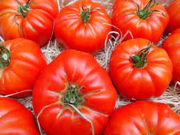 Normalmente se cuenta una desventaja enorme frente a ello. Tomate Marmande Fuhrer Gastronomie Urlaub