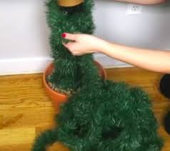 Because of their native habitat, these plants prefer a more humid climate than other cacti. How To Make A Cactus Christmas Tree You Will Love Hometalk