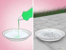 How can you help prevent mosquito infestations? How To Get Rid Of Mosquitoes Mosquito Repellent Homemade Mosquito Trap Diy Mosquito