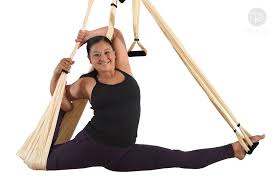 Flying King Pigeon Split