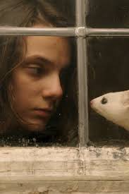 Before His Dark Materials Arrives On Hbo Here S What To Know About The Story Dark Material His Dark Materials His Dark Materials Trilogy