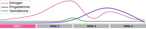 73 Methodical Estradiol Levels In Women Chart