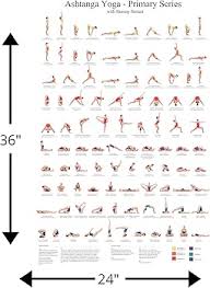 Image result for Primary Series