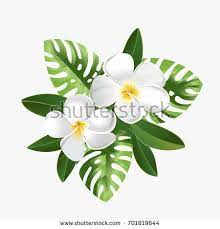 Pin On Designs