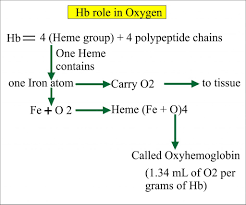 Hemoglobin Part 1 Hemoglobin Hb Labpedia Net