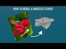 Modelling An Hibiscus Flower In Blender 2 81 Time Lapse Youtube Hibiscus Hibiscus Flowers Flowers