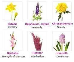 Image Result For 11 Kinds Of Cranes Birds Flower Meanings Trendy Flowers Irish Flower