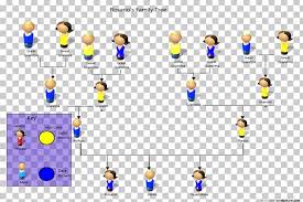 Pedigree Chart Genetics Phenotypic Trait Organism Family