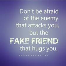 Word To The Wise About Fake Friends Fake Friends I Love To Laugh Words