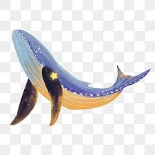 Check spelling or type a new query. Gambar Ikan Besar Png Vektor Psd Dan Clipart Dengan Latar Belakang Transparan Untuk Download Gratis Pngtree