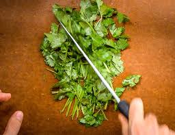 Cover the seeds with soil. How To Chop Cilantro Mexican Please