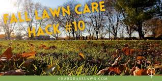 Water your lawn in the morning. 10 Fall Lawn Care Hacks To Make Your Life Easier Page 10 Of 10 Cg Lawn