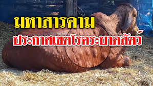 โรคลัมปี สกิน มีสาเหตุเกิดจากเชื้อไวรัส lumpy skin disease virusเป็นโรคที่เกิดเฉพาะในโค กระบือ ไม่เป็นโรคที่ติดต่อจากสัตว์สู่คน โดยเชื้อไวรัสชนิดนี้. Yaw Jhmguyk3dm