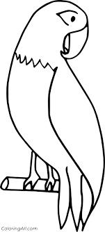 Check spelling or type a new query. Parrot Coloring Pages Coloringall