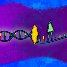 Plus, the key idea in darwin's theory of evolution is always left out: Gene Mutations Science Games Legends Of Learning