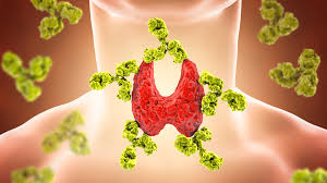 क्या थायराइड के मरीजों को मूंगफली खानी चाहिए या नहीं? जानिए…. 

HEALTH NEWS Should thyroid patients eat peanuts or not? Learn….
