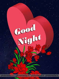 We decorate some good night romantic images for lovers with quotes in hindi and english. Good Night Flower Pic In 2021 Good Night Love Images Beautiful Good Night Images Good Night Sweetheart