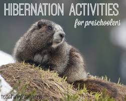 It was one of the highlights of our day. Hibernation Activities For Preschoolers Teaching Mama