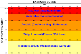 heart rate recovery insane polygons