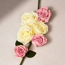 All about: perfume de rosa ✔️ Compra online