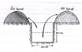 Arbequina zeytin ağaçları, arbeca kasabası yakınlarındaki kayalık topraklarda, eskiden arbequa'da keşfedilen i̇spanyol catalonia'daki les garrigues bölgesinden dünyaya yayılmıştır. Zeytin Fidani Secim Dikim Ve Bakim Onerileri